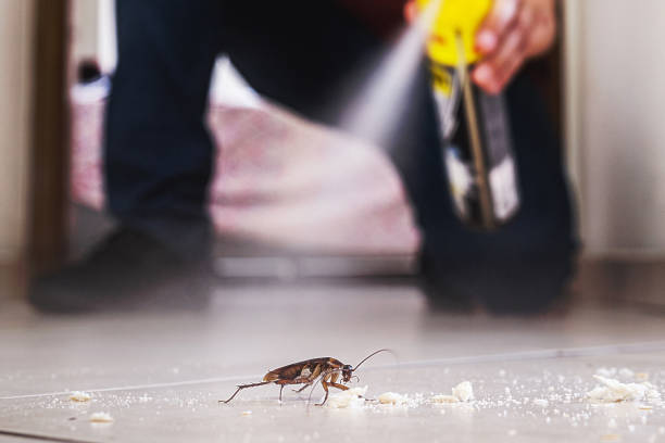 Best Flea Control Services  in Millersburg, OH